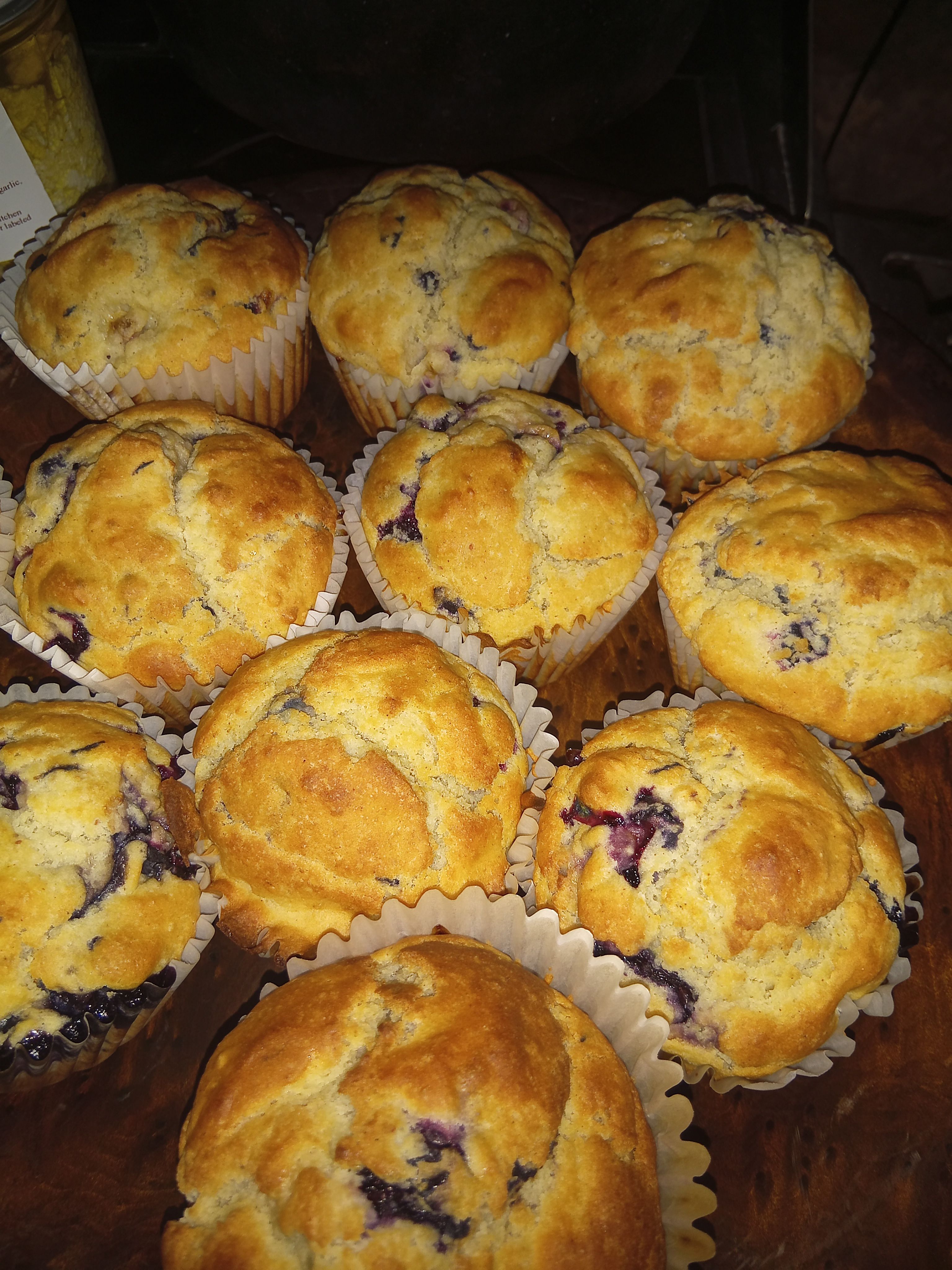🧁Blue 🫐 Muffins