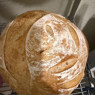 Original Sourdough Boule 