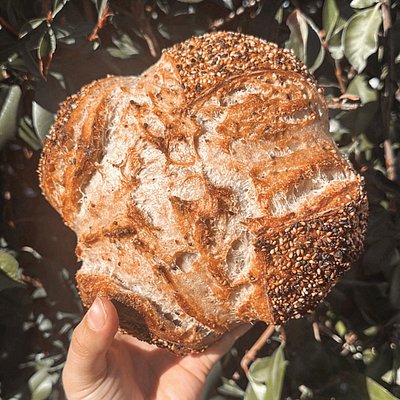 Everything But The Bagel Boule