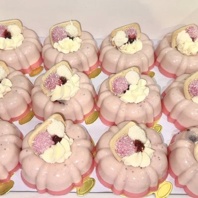 Gelatinas Sponch 12 Pz 