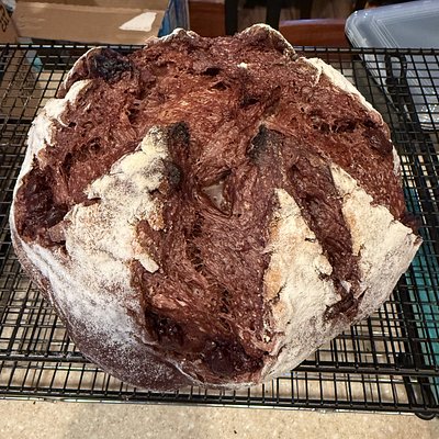 Sourdough Double Chocolate With Chocolate Chips