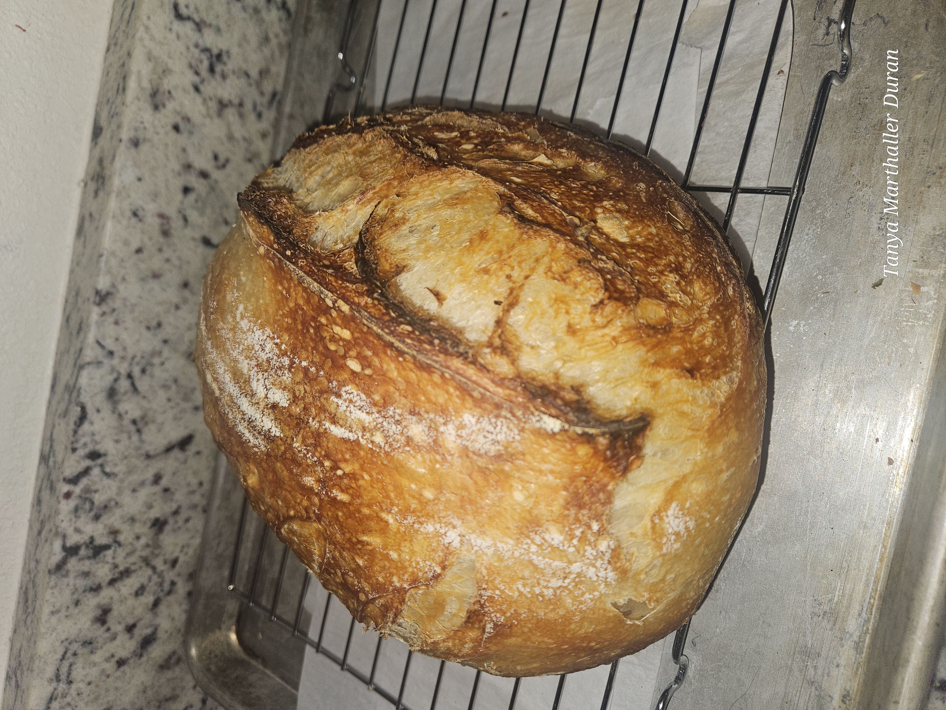 Artisan Sourdough Loaf Plain Large 