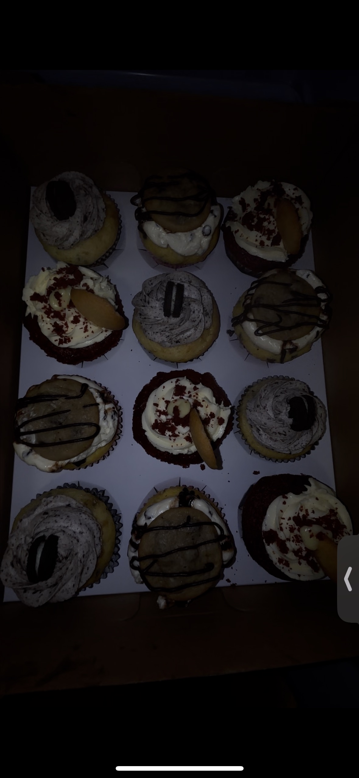 A Dozen Cupcakes 