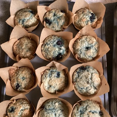 Blueberry Muffin