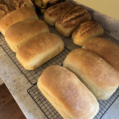 Sandwich Bread