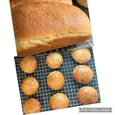 Bread