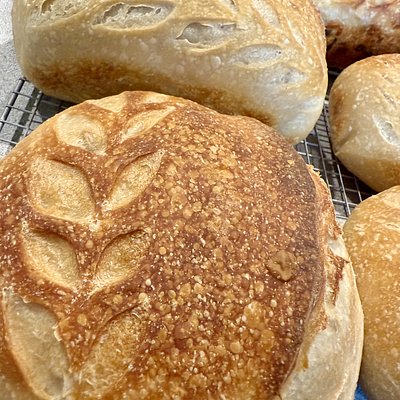 Organic Jane Dough (Plain Sourdough)