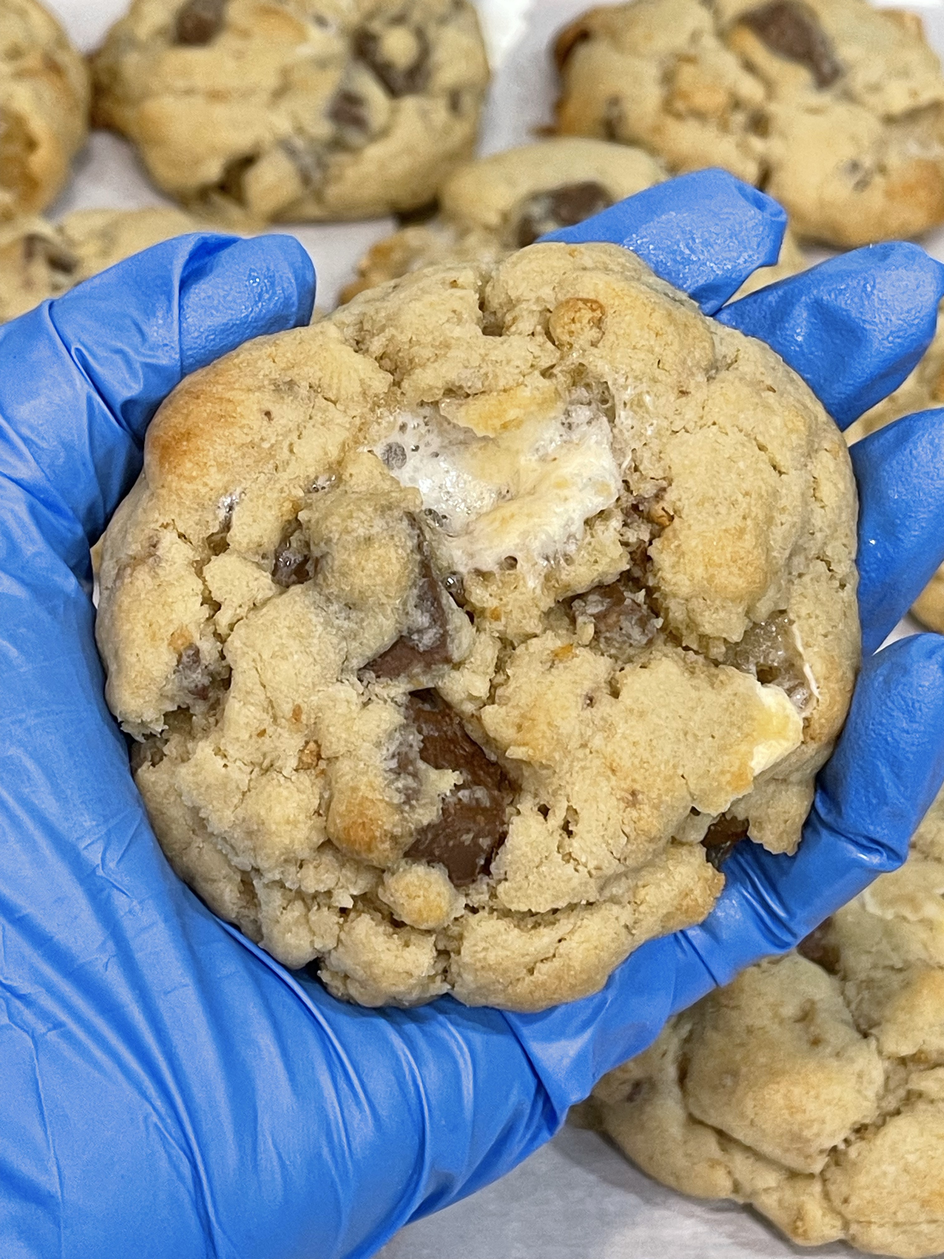 Smores Cookies (1/2 Dozen)