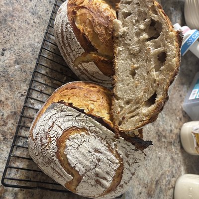 Sourdough