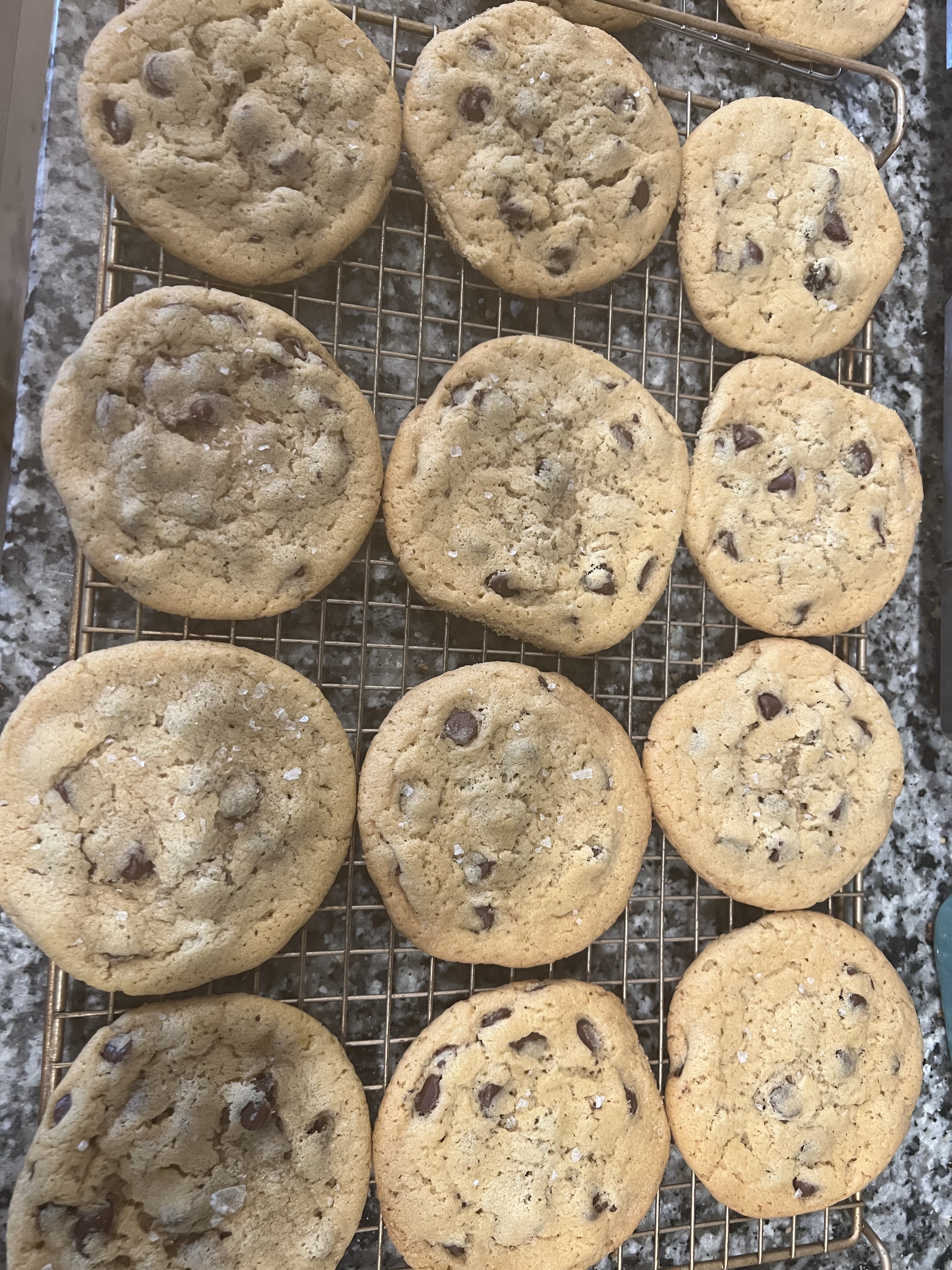 Chocolate Chip Tahini Cookies 