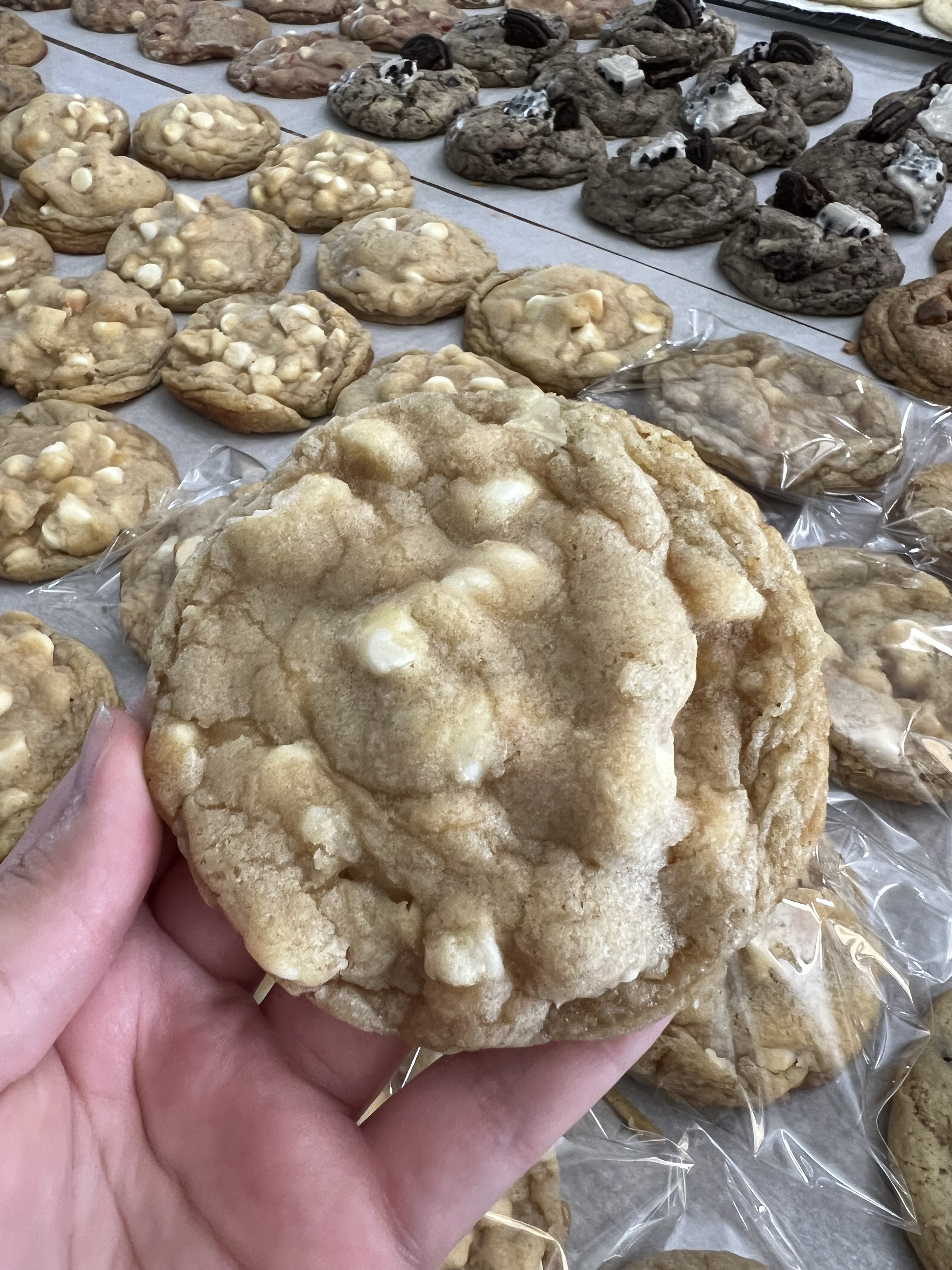 Macadamia Nut