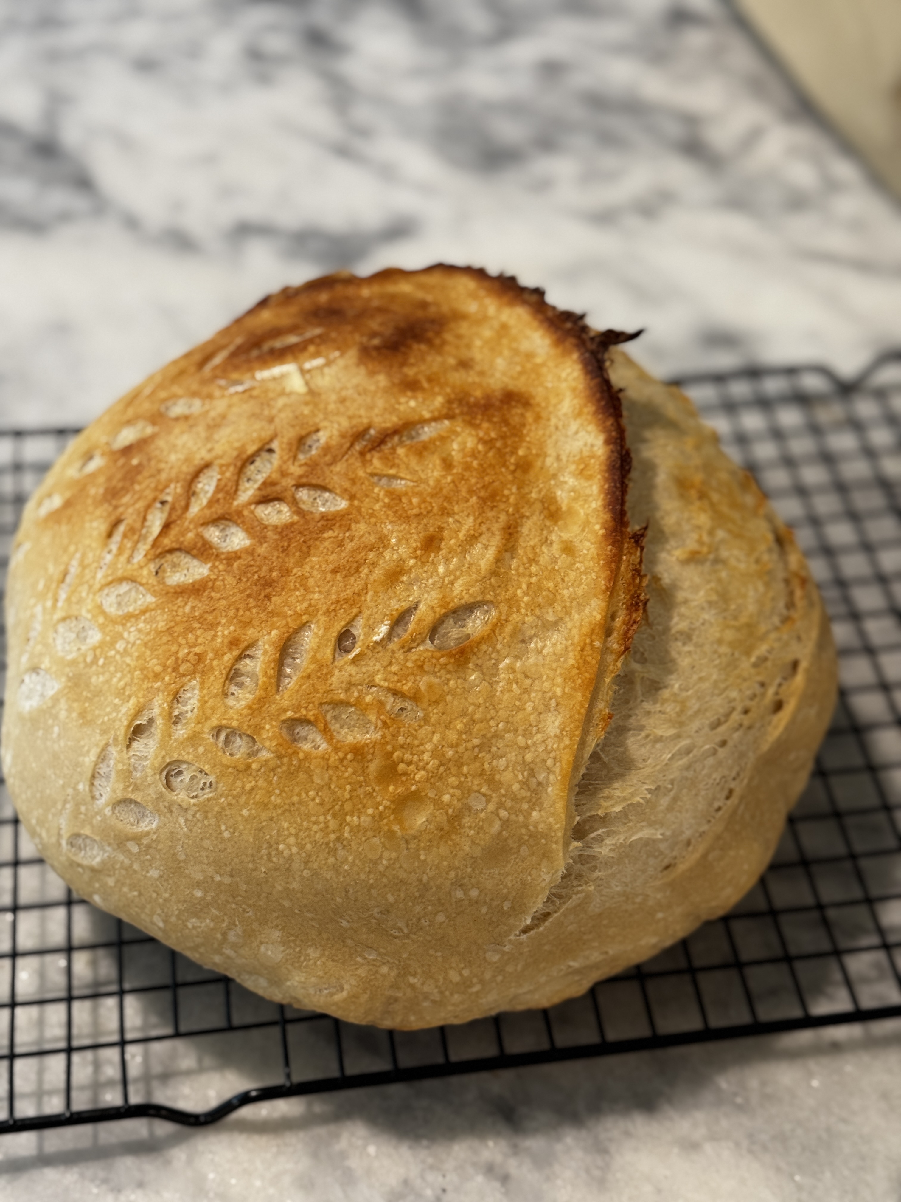 Sourdough loaf 