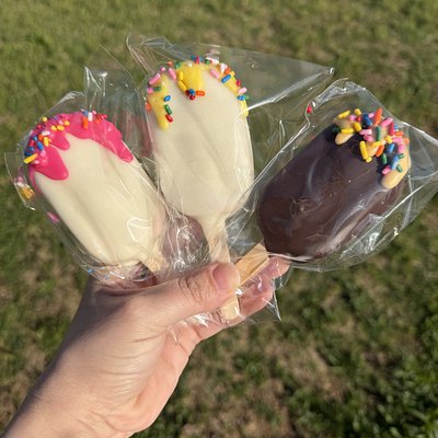 Popsicle Cakesicles (4)