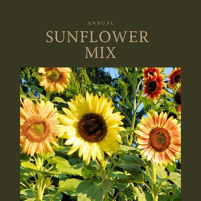Sunflower Mix