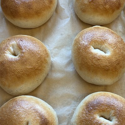 Bewitching Bagel
