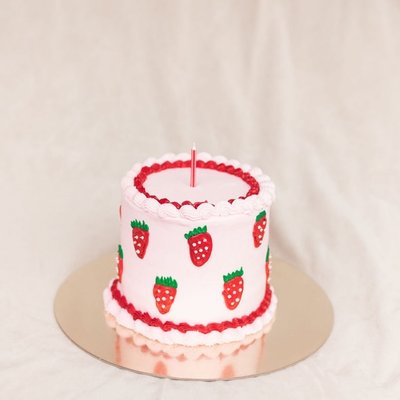 6 Inch Mini Or Smash Cakes