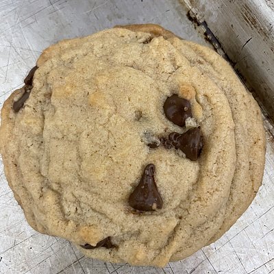 Large Brown Butter Chocolate Chip Cookiesa