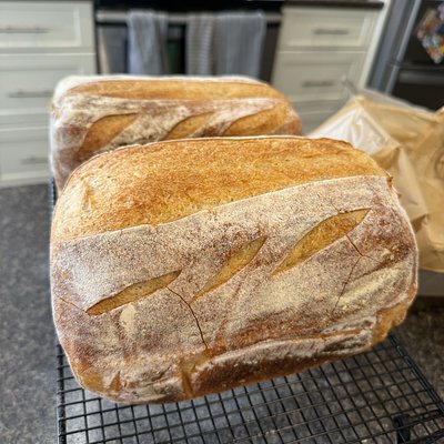 Classic Sourdough 