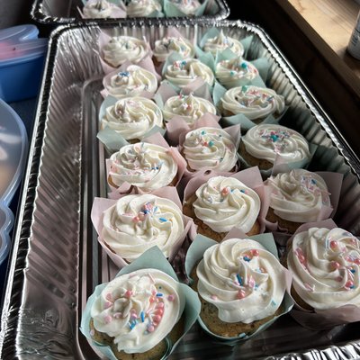 Gender Reveal Cupcakes 