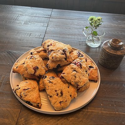 Sourdough Blueberry Scones (8)