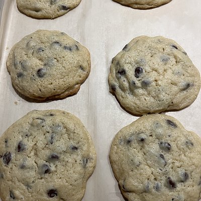 Single Jumbo Sourdough Chocolate Chip Cookie