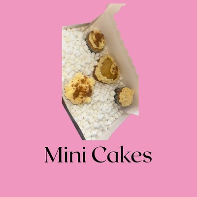 Mini Cakes