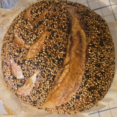 Golden Coast Honey Sesame