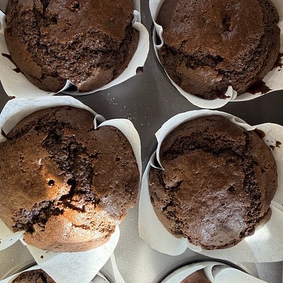 Double Chocolate Muffin 