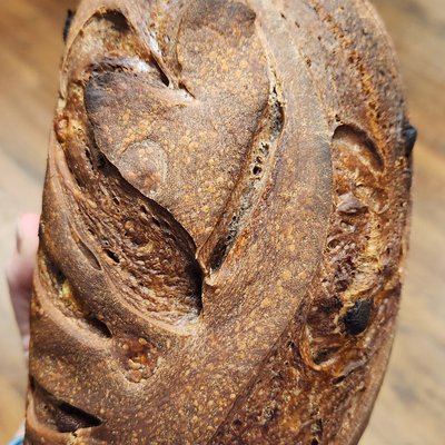 Chocolate Sourdough Artisan Bread 