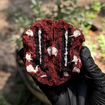  One Dozen Red Velvet Oreo 