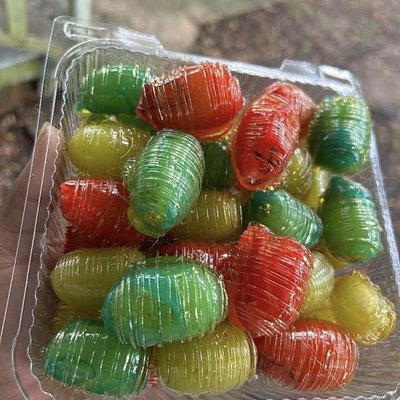 fruit roll up candy grapes 