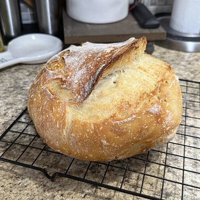 Plain Sourdough Loaf