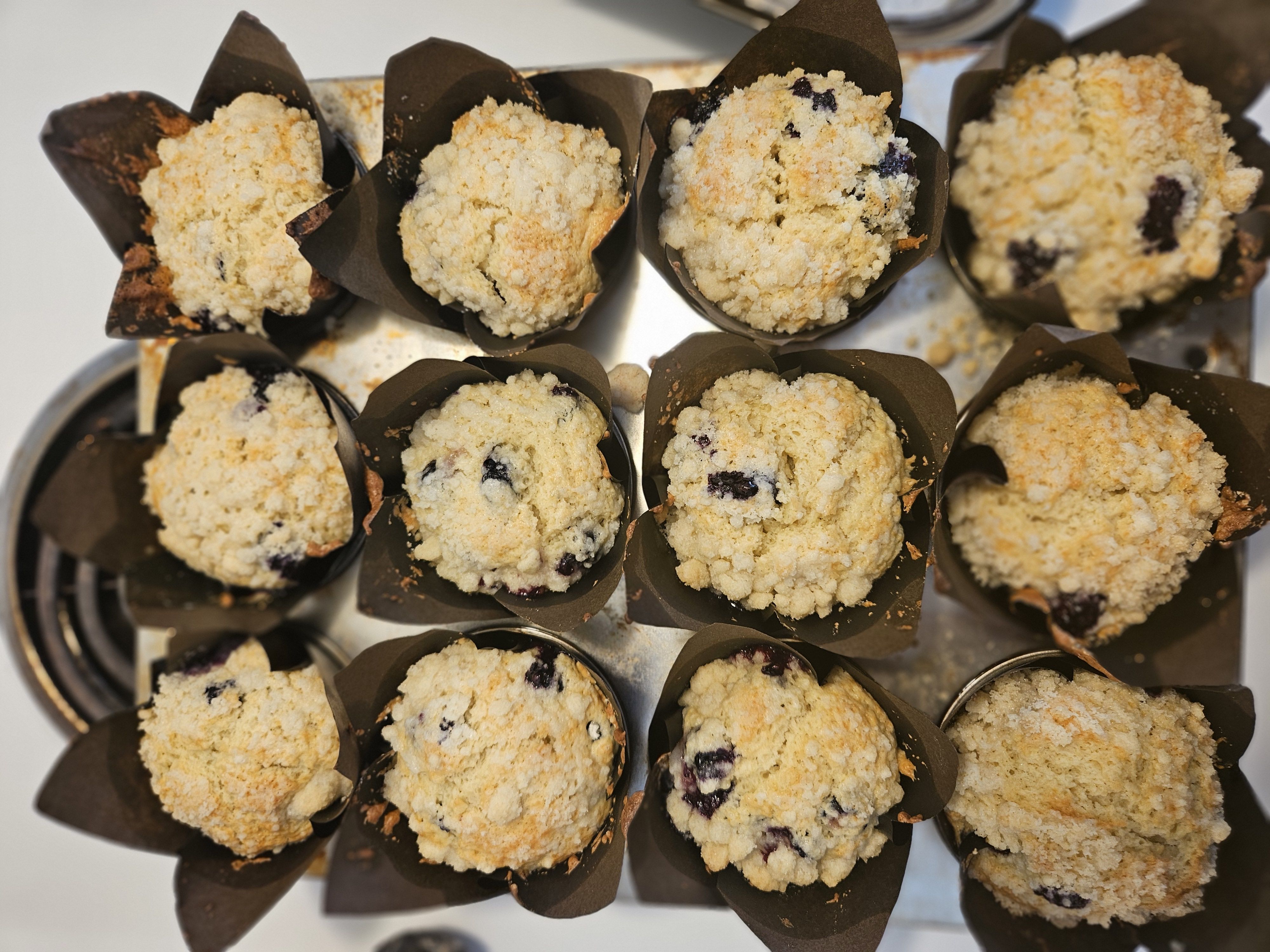 Sourdough Blueberry Muffins 