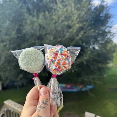 1 Dozen Large Basic Cake Pops