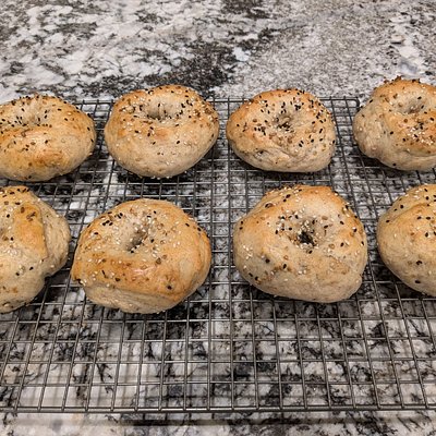 Everything Bagels (6)