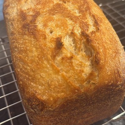 Plain Sourdough Loaf 