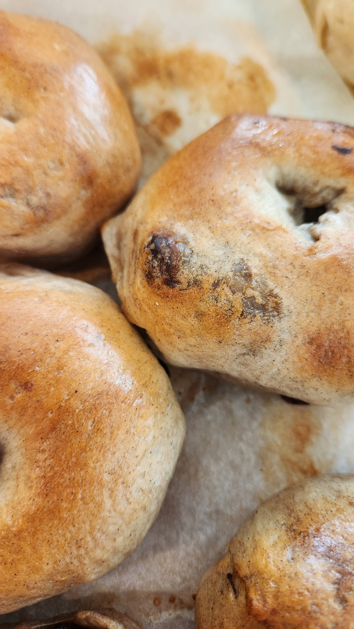 Cinnamon Raisin Bagels