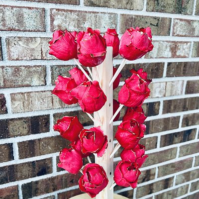 Rose Cake Pops