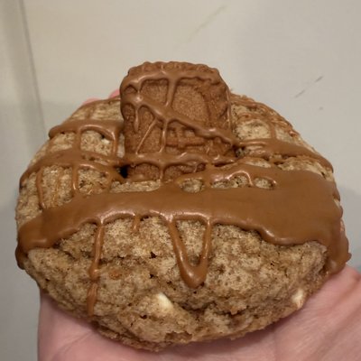Sourdough Biscoff Cookies 
