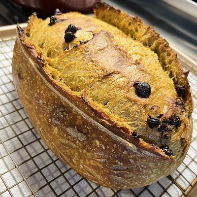 🥇🎃 Chocolate Pumpkin Pie