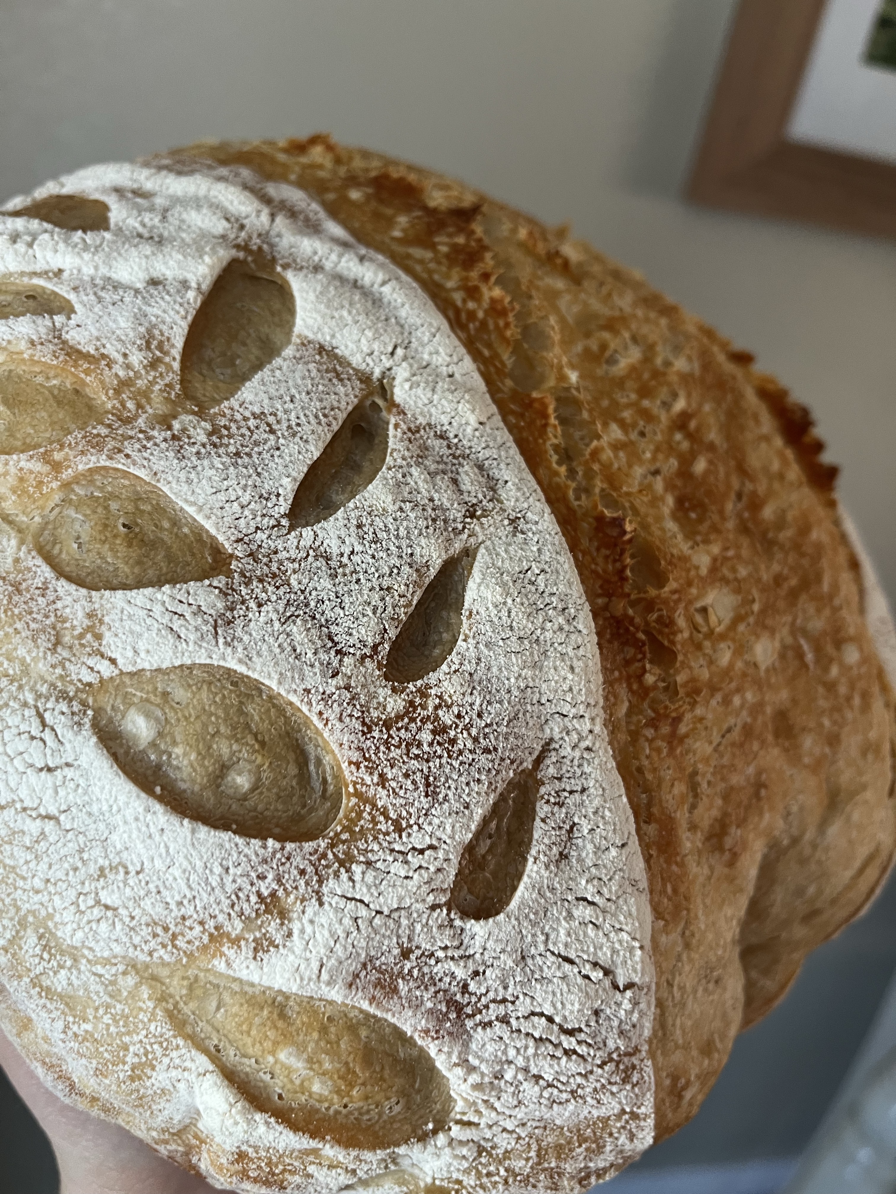 Classic Sourdough