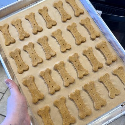 Dog Treats Medium Dog 