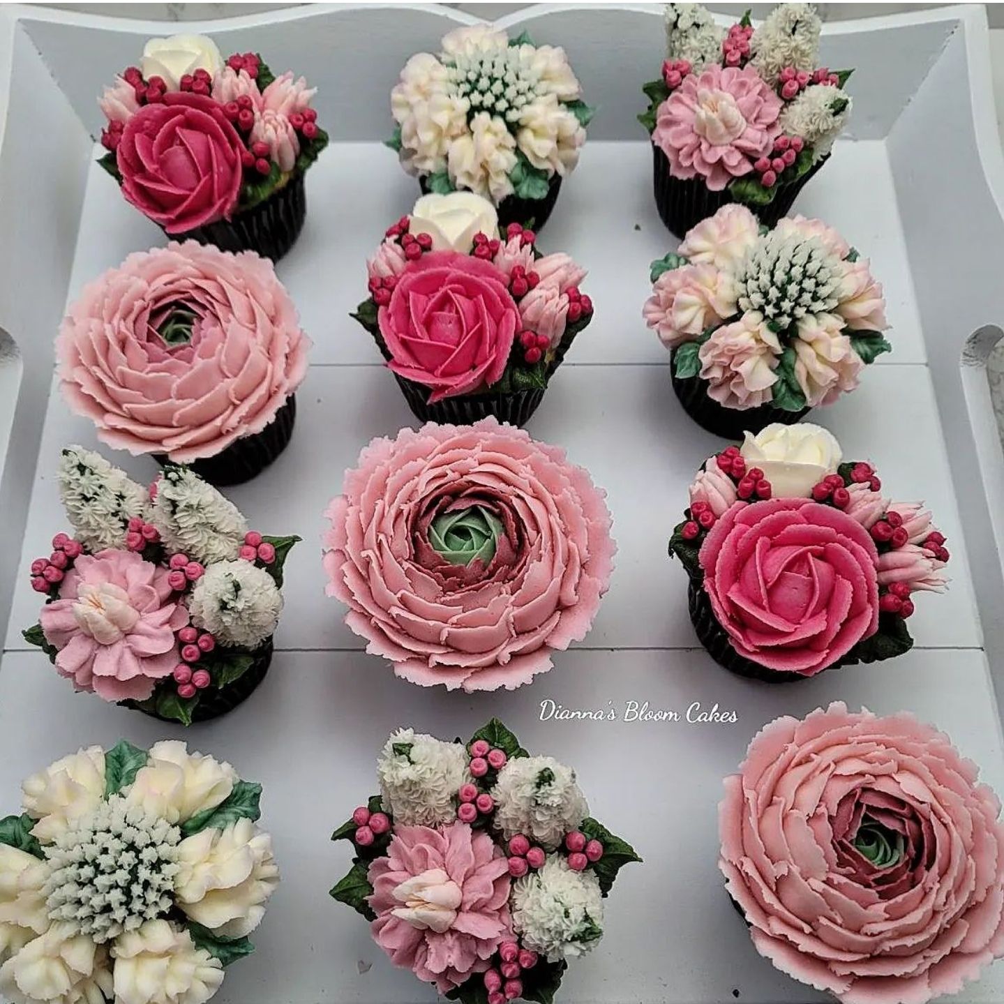 Full Size Boxed Blooms Or Succulents 