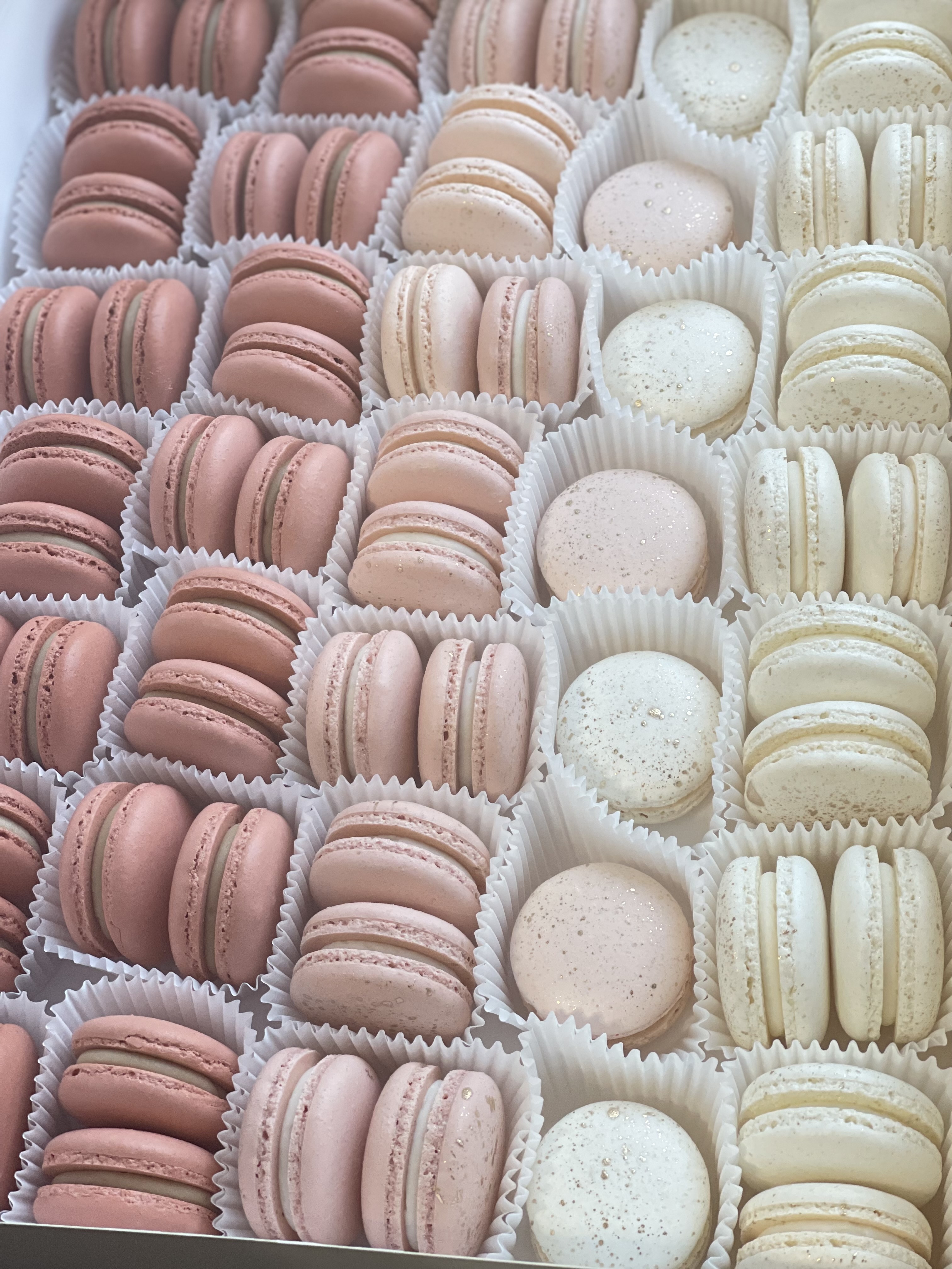 Macarons 