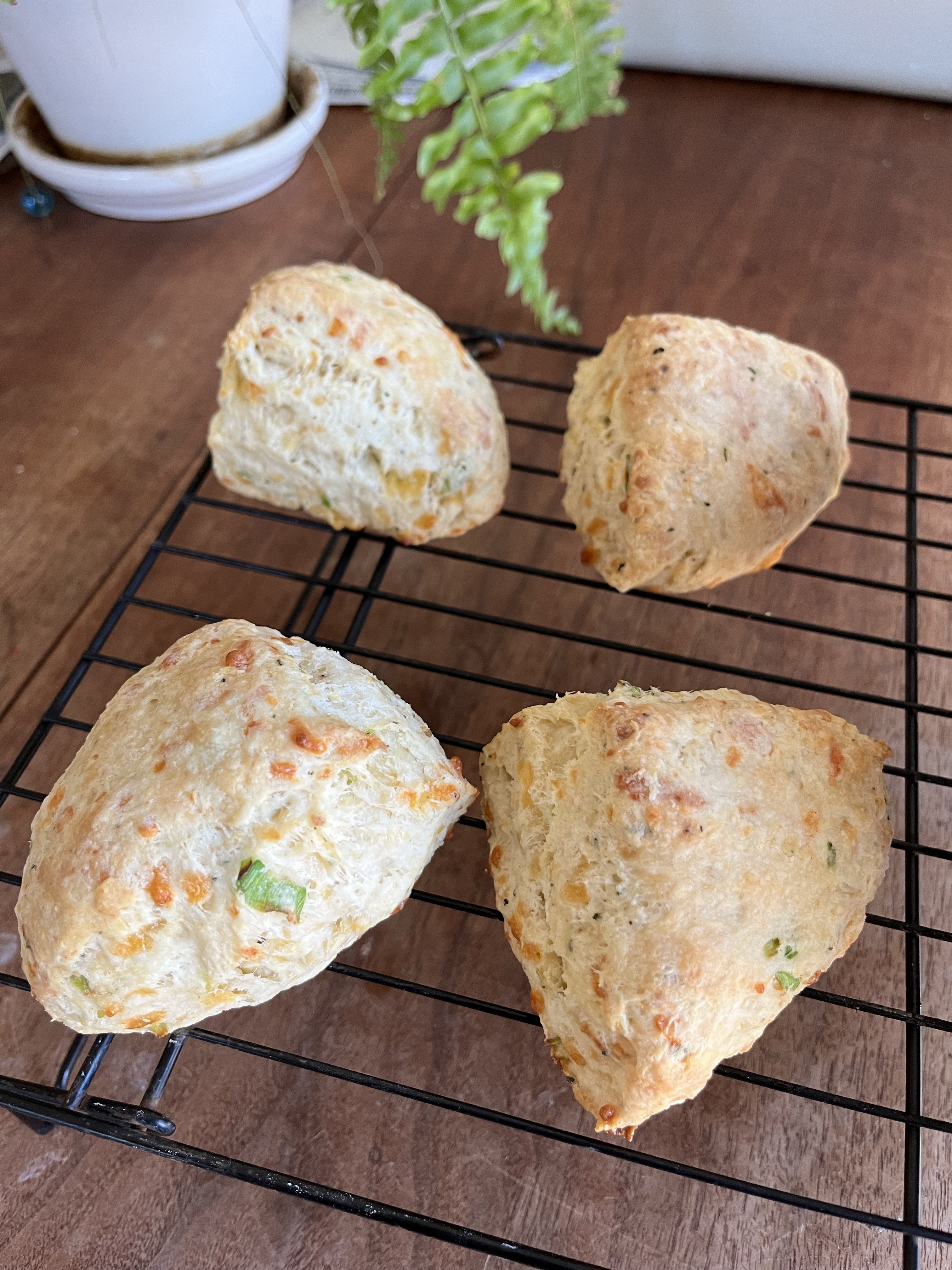 Garlic Cheddar Sourdough Scones (4)
