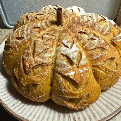 Pumpkin Sourdough Loaf