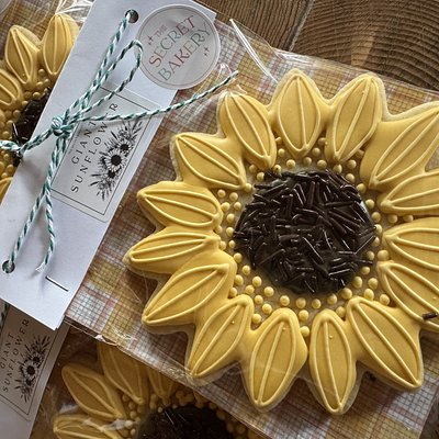 Giant Sunflower Cookie Treat / Gift