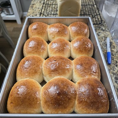 Sourdough Dinner Rolls