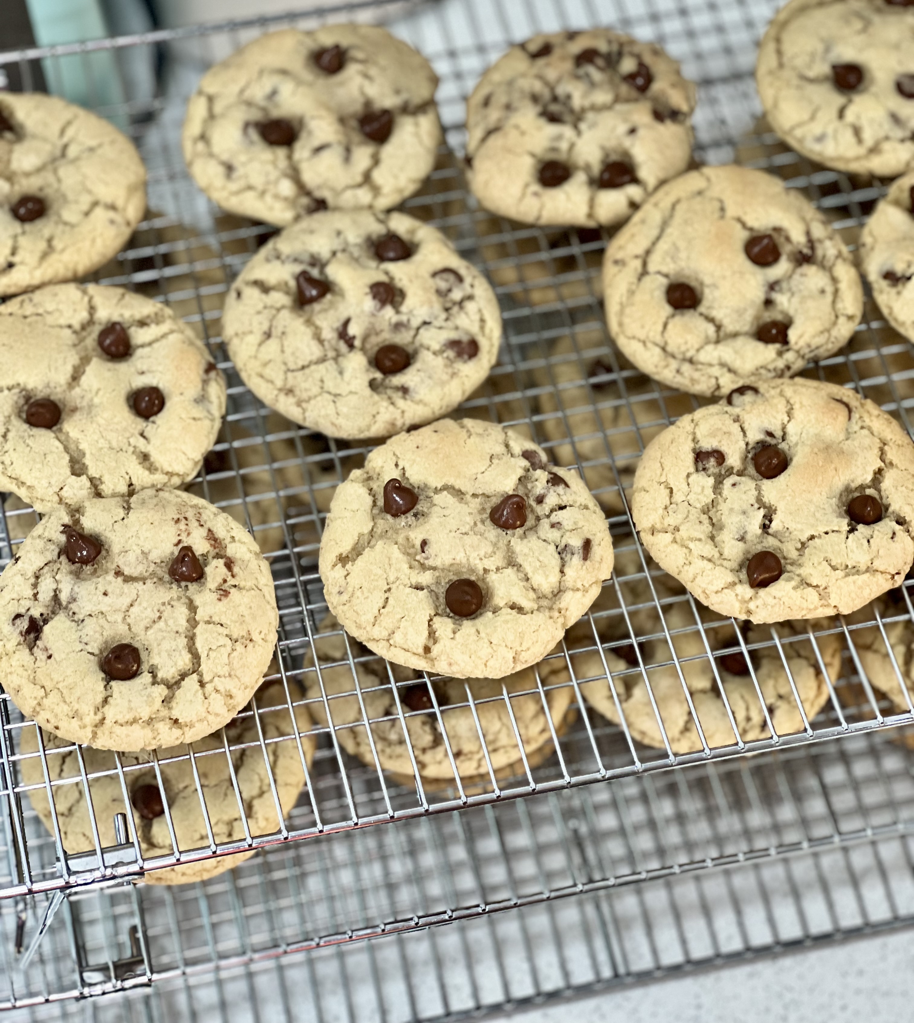 Chocolate Chip Cookies 