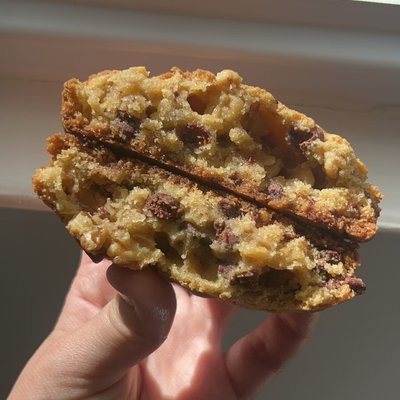 Mondo Chocolate Chip Walnut Cookie 